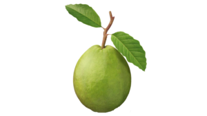 Guava (1 KG.)